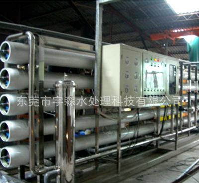 25噸反滲透純水處理設備 高效工業凈水解決方案